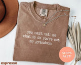 Comfort Colors® You Can't Tell Me What To Do You're Not My Grandson Shirt, Grandma Shirt, Grammy Shirt, Mother's Day Shirt