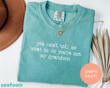 Comfort Colors® You Can't Tell Me What To Do You're Not My Grandson Shirt, Grandma Shirt, Grammy Shirt, Mother's Day Shirt