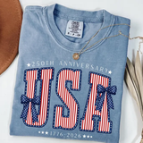 Comfort Colors America 250th Anniversary Shirt, 1776–2026 Patriotic, USA Semiquincentennial Tee